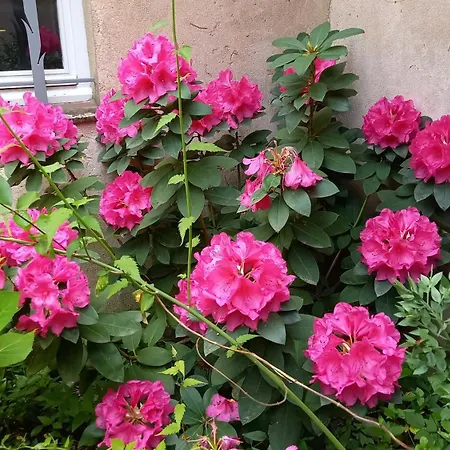 Les Lavandes A Soyons, A Proximite De Valence Holiday home